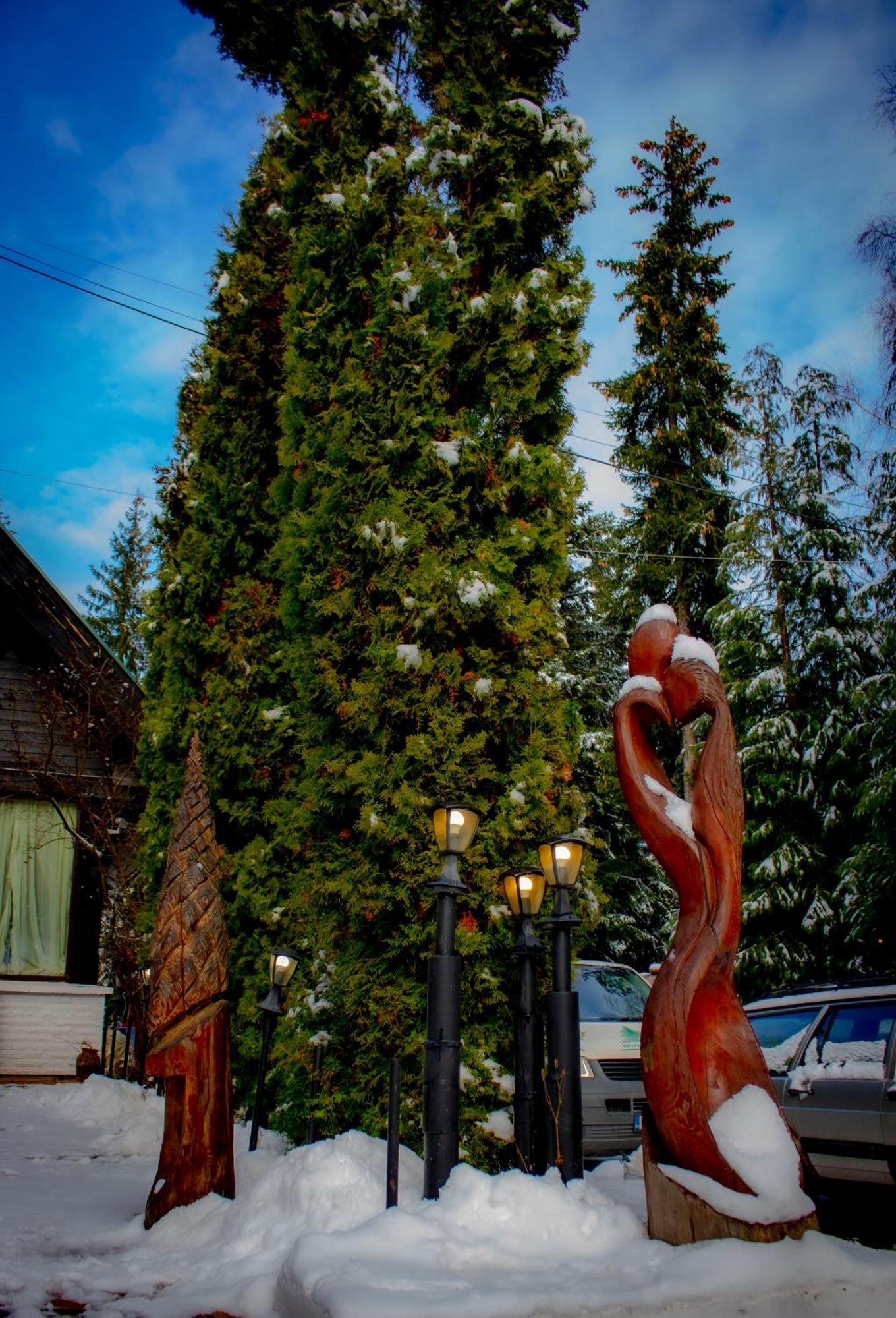 Breza Hotel Boroveț Exterior foto